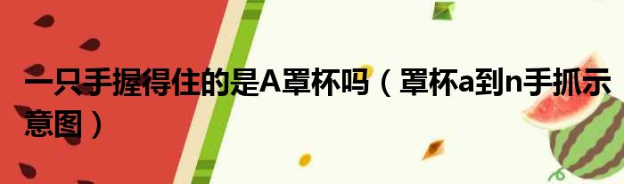 一只手握得住的是a罩杯吗罩杯a到n手抓示意图