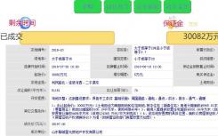 山东聊城星光房地产开发有限公司以30197万元荣誉拍得