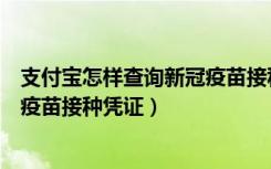 支付宝怎样查询新冠疫苗接种证明（怎样在支付宝查询新冠疫苗接种凭证）