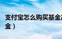 支付宝怎么购买基金产品（支付宝怎么购买基金）