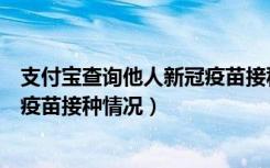 支付宝查询他人新冠疫苗接种记录（支付宝上怎么查询新冠疫苗接种情况）