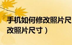 手机如何修改照片尺寸到200k（ 手机如何修改照片尺寸）