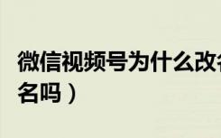 微信视频号为什么改名不了（微信视频号能改名吗）