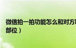 微信拍一拍功能怎么和对方聊天（微信怎么拍一拍对方身体部位）