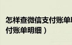 怎样查微信支付账单明细记录（怎样查微信支付账单明细）