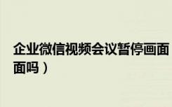 企业微信视频会议暂停画面（企业微信视频会议可以暂停画面吗）