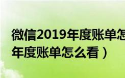 微信2019年度账单怎么看不到了（微信2019年度账单怎么看）