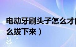 电动牙刷头子怎么才能拔下来（电动牙刷头怎么拔下来）