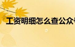 工资明细怎么查公众号（工资明细怎么查）