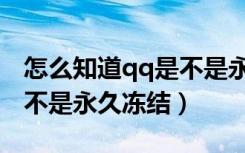 怎么知道qq是不是永久冻结（怎么知道qq是不是永久冻结）