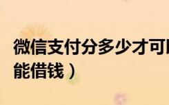 微信支付分多少才可以借钱（微信支付分能不能借钱）