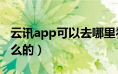 云讯app可以去哪里看客服（云讯app是干什么的）