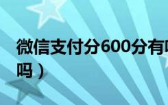 微信支付分600分有啥用（微信支付分600高吗）