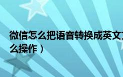 微信怎么把语音转换成英文文字（微信语音转文字转英语怎么操作）