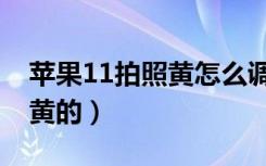 苹果11拍照黄怎么调（苹果11曝光为什么是黄的）