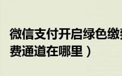 微信支付开启绿色缴费通道（微信支付绿色缴费通道在哪里）