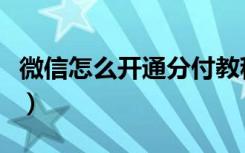 微信怎么开通分付教程（微信机上付怎么申请）