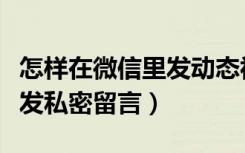 怎样在微信里发动态视频（微信视频动态怎么发私密留言）