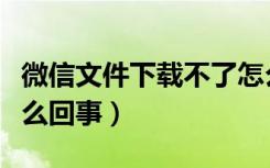 微信文件下载不了怎么办（微信下载不了是怎么回事）