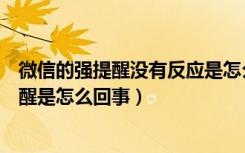 微信的强提醒没有反应是怎么回事（微信强提醒打开了没提醒是怎么回事）