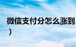 微信支付分怎么涨到550（微信支付分怎么涨）