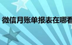 微信月账单报表在哪看（微信月账单在哪看）