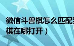 微信斗兽棋怎么匹配到一起（微信损友圈斗兽棋在哪打开）