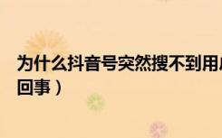 为什么抖音号突然搜不到用户（抖音号搜索不到用户是怎么回事）