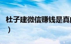 杜子建微信赚钱是真的吗（微信赚钱是真的吗）