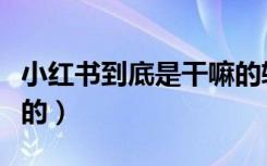 小红书到底是干嘛的软件（小红书到底是干嘛的）