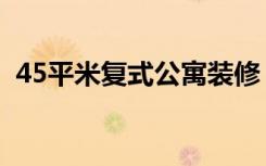 45平米复式公寓装修（45平房子怎么装修）