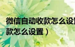 微信自动收款怎么设置成电子版（微信自动收款怎么设置）