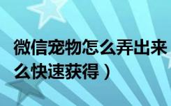 微信宠物怎么弄出来（微信萌犬变变变金币怎么快速获得）