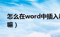 怎么在word中插入视频（word可以加视频嘛）