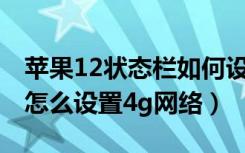 苹果12状态栏如何设置显示4g图标（苹果12怎么设置4g网络）