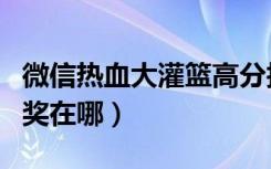 微信热血大灌篮高分技巧（微信热血大灌篮抽奖在哪）