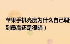 苹果手机亮度为什么自己调到最暗（为什么苹果手机亮度调到最高还是很暗）