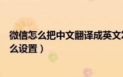 微信怎么把中文翻译成英文发出去（微信中文翻译成英文怎么设置）