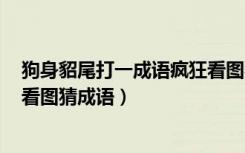 狗身貂尾打一成语疯狂看图猜成语（狗g人墙打一成语疯狂看图猜成语）