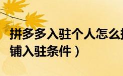 拼多多入驻个人怎么换成企业（拼多多企业店铺入驻条件）