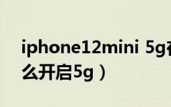 iphone12mini 5g在哪开启（iphone12怎么开启5g）