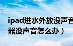 ipad进水外放没声音怎么办（ipad进水扬声器没声音怎么办）