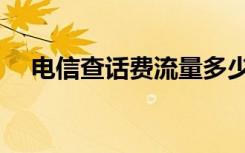 电信查话费流量多少（电信查话费流量）