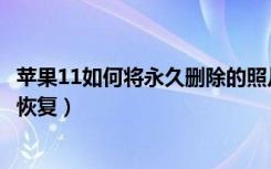 苹果11如何将永久删除的照片恢复（苹果11删除的照片怎么恢复）