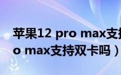 苹果12 pro max支持双卡吗（iphone12pro max支持双卡吗）