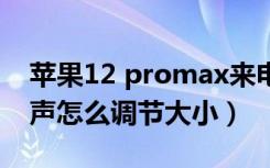 苹果12 promax来电铃声大小调节（苹果铃声怎么调节大小）