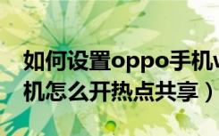 如何设置oppo手机wife连接次数（oppo手机怎么开热点共享）