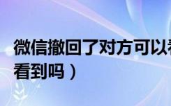 微信撤回了对方可以看到吗（微信撤回对方能看到吗）