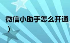 微信小助手怎么开通（微信使用小助手在哪里）