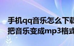 手机qq音乐怎么下载成mp3格式（手机怎么把音乐变成mp3格式）